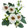 DV80357 -2-